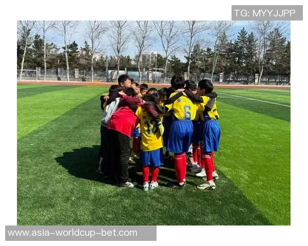 沈阳足球队奋勇争先全力冲击新赛季目标展现团队精神与拼搏意志